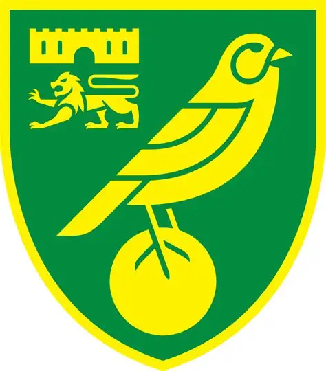 Norwich City Academy